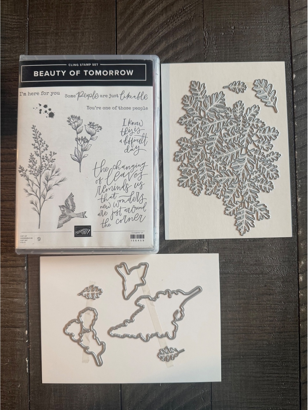 Stampin’ Up Beauty Of Tomorrow stamp set with Beautiful Leaves Dies die cut set